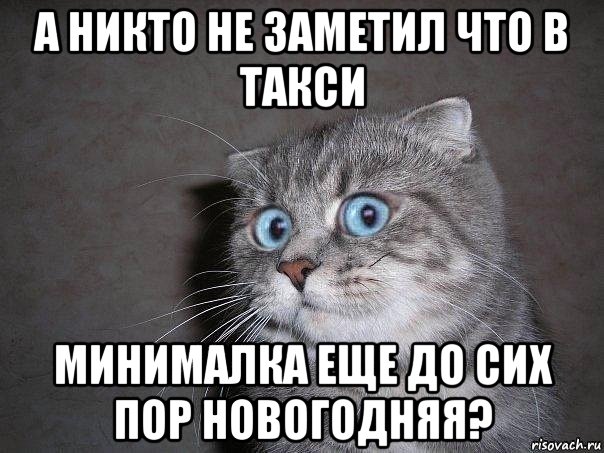 а никто не заметил что в такси минималка еще до сих пор новогодняя?, Мем  удивлённый кот