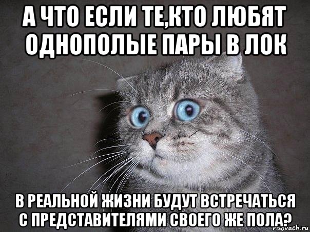 а что если те,кто любят однополые пары в лок в реальной жизни будут встречаться с представителями своего же пола?, Мем  удивлённый кот