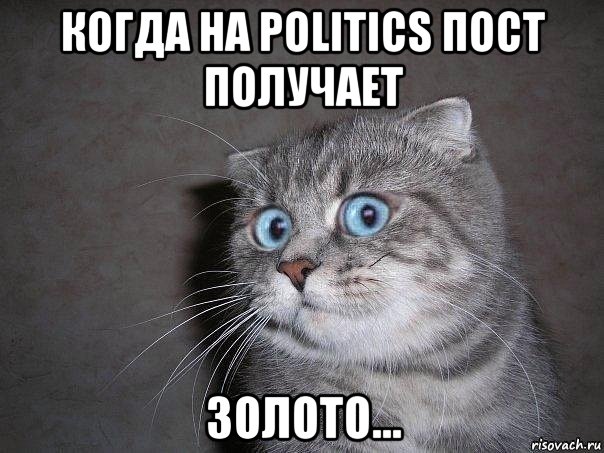 когда на politics пост получает золото..., Мем  удивлённый кот