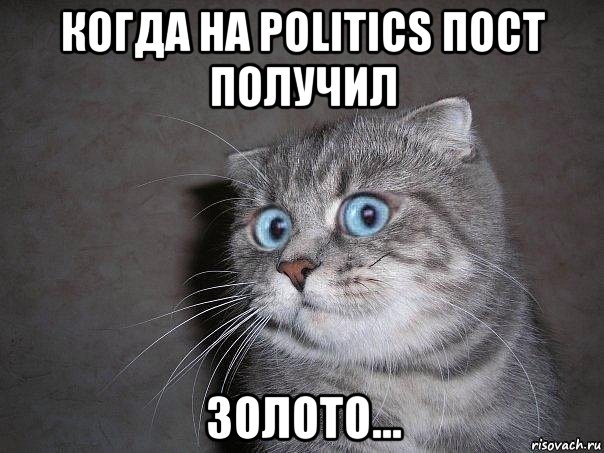 когда на politics пост получил золото..., Мем  удивлённый кот