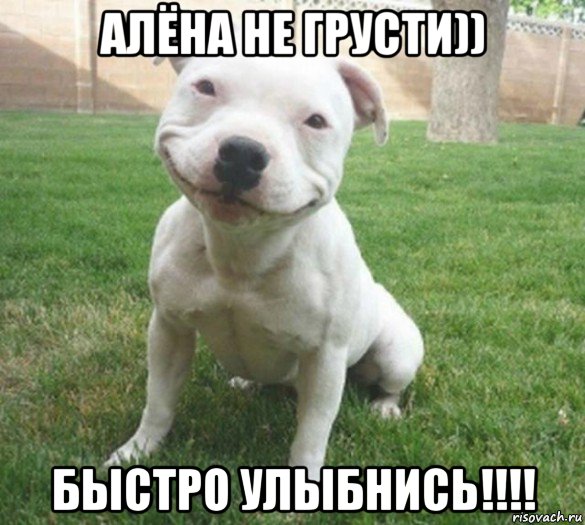 алёна не грусти)) быстро улыбнись!!!!, Мем  улыбака