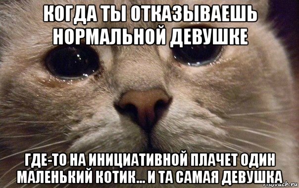 когда ты отказываешь нормальной девушке где-то на инициативной плачет один маленький котик... и та самая девушка, Мем   В мире грустит один котик