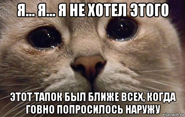 я... я... я не хотел этого этот тапок был ближе всех, когда говно попросилось наружу, Мем   В мире грустит один котик