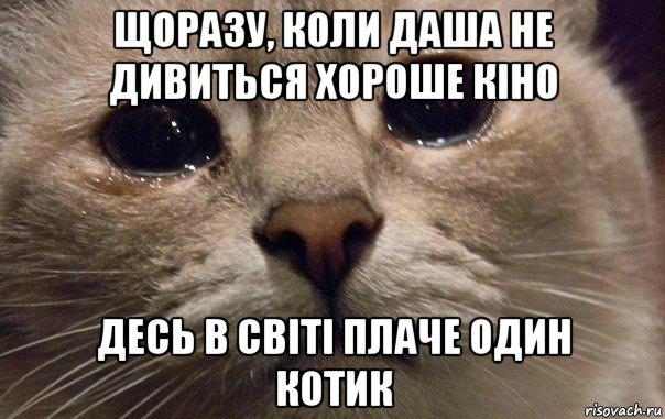 щоразу, коли даша не дивиться хороше кіно десь в світі плаче один котик, Мем   В мире грустит один котик