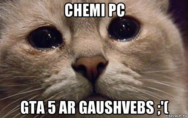 chemi pc gta 5 ar gaushvebs ;'(, Мем   В мире грустит один котик