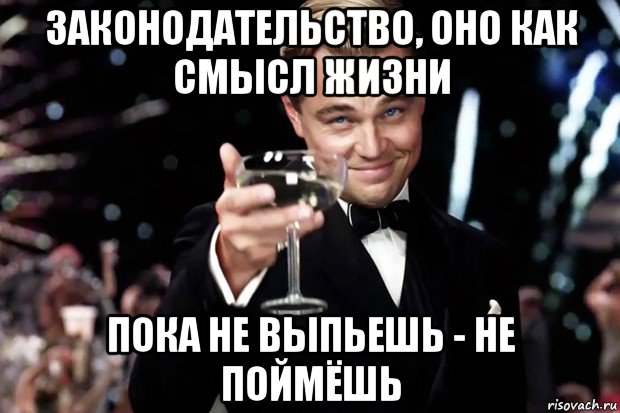 законодательство, оно как смысл жизни пока не выпьешь - не поймёшь, Мем Великий Гэтсби (бокал за тех)