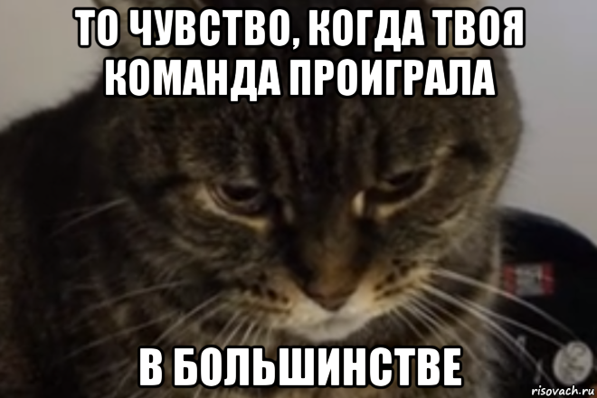 Команда проигрывает очко в случае. Твоя команда. Любимая команда проиграла. Мем проигрыш команды. Мем проиграла команда.