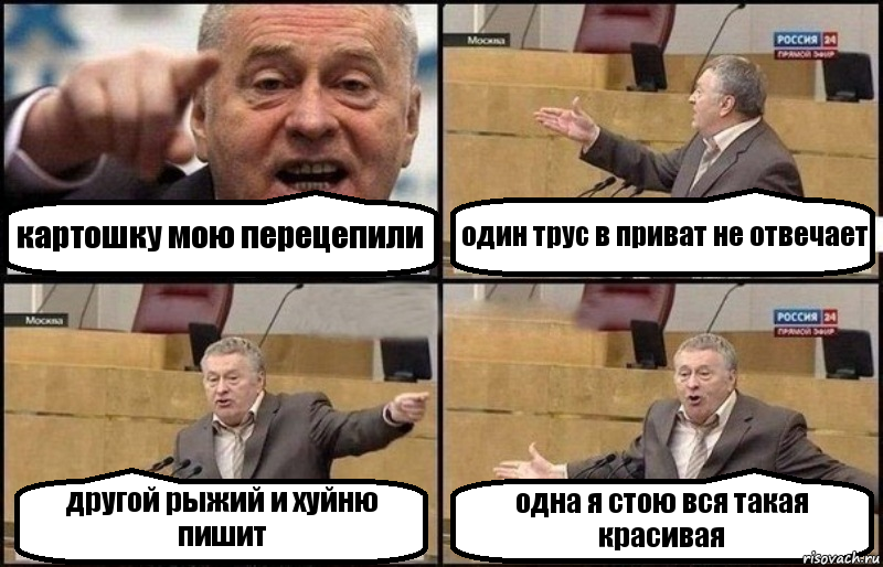 картошку мою перецепили один трус в приват не отвечает другой рыжий и хуйню пишит одна я стою вся такая красивая, Комикс Жириновский