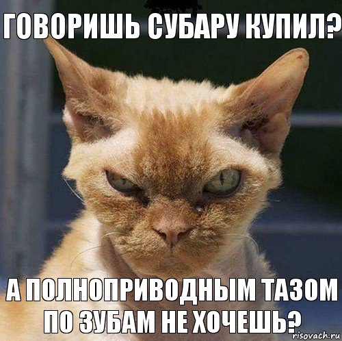 Говоришь субару купил? А полноприводным тазом по зубам не хочешь?, Комикс  злой кот