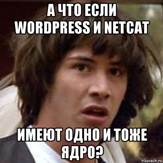 а что если wordpress и netcat имеют одно и тоже ядро?, Мем А что если (Киану Ривз)