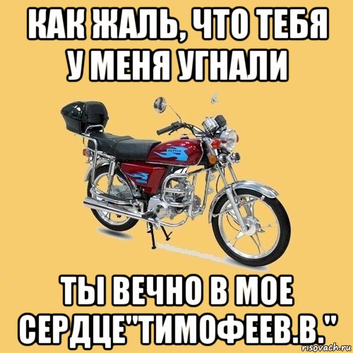 как жаль, что тебя у меня угнали ты вечно в мое сердце"тимофеев.в.", Мем альфа