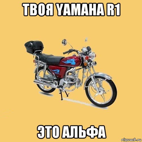 твоя yamaha r1 это альфа, Мем альфа