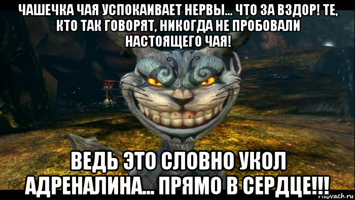 Никогда не попробую. Чай как укол адреналина. Чеширский кот чашечка чая успокаивает нервы. Кот и укол Мем. Мемы нервы угомони.