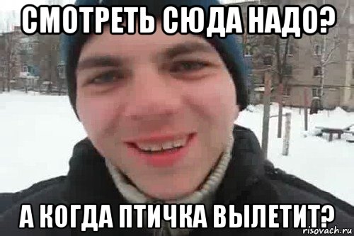 смотреть сюда надо? а когда птичка вылетит?, Мем Чувак это рэпчик