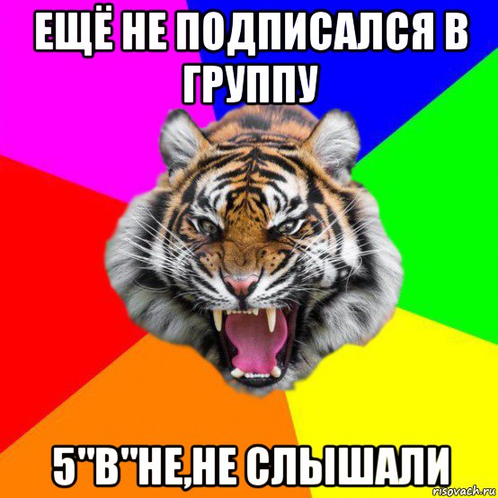 ещё не подписался в группу 5"в"не,не слышали, Мем  ДЕРЗКИЙ ТИГР