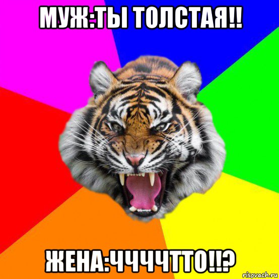 муж:ты толстая!! жена:ччччтто!!?, Мем  ДЕРЗКИЙ ТИГР