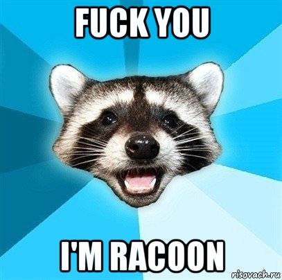 fuck you i'm racoon