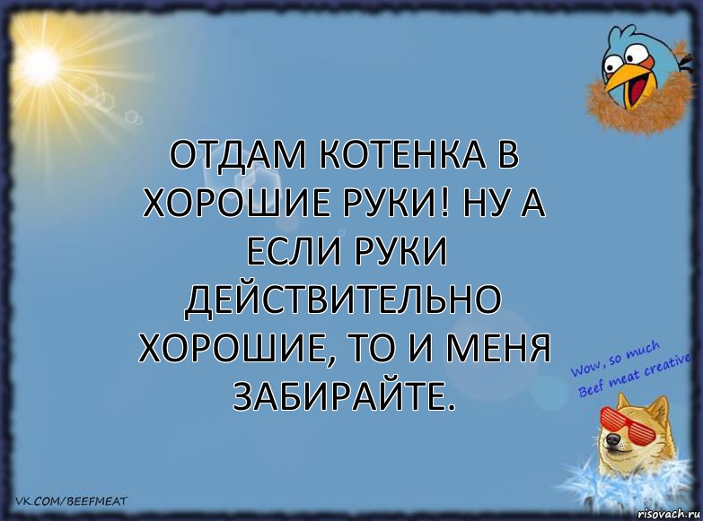 Отдам котенка в хорошие руки! Ну а если руки действительно хорошие, то и меня забирайте., Комикс ФОН