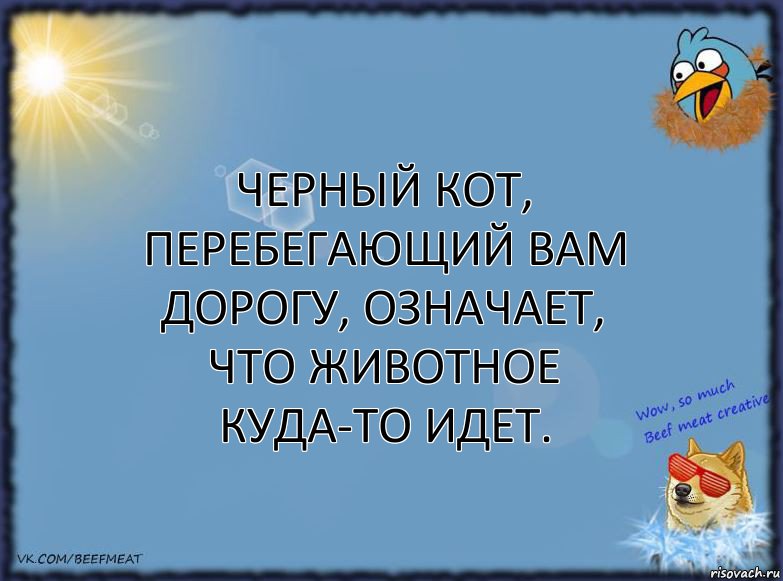 Черный кот, перебегающий вам дорогу, означает, что животное куда-то идет., Комикс ФОН