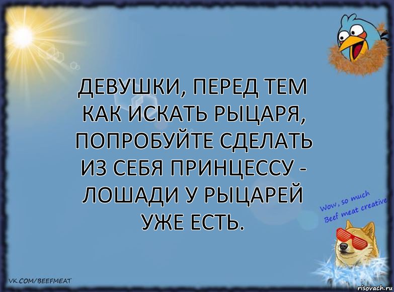 Девушки, перед тем как искать рыцаря, попробуйте сделать из себя принцессу - лошади у рыцарей уже есть., Комикс ФОН