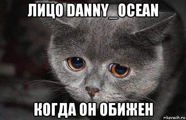 лицо danny_ocean когда он обижен, Мем  Грустный кот