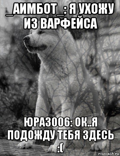 _аимбот_: я ухожу из варфейса юра3006: ок..я подожду тебя здесь :(, Мем  хатико