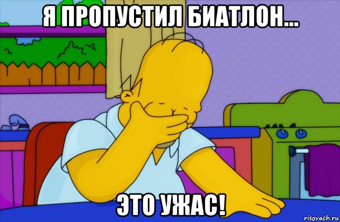 я пропустил биатлон... это ужас!, Мем Homer simpson facepalm