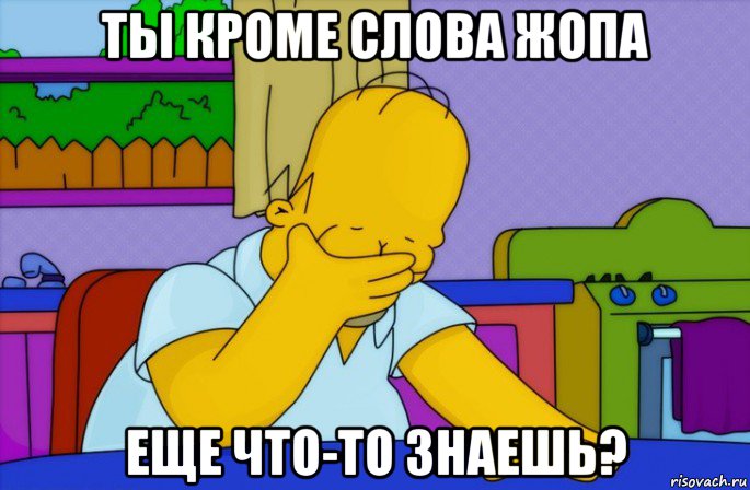 ты кроме слова жопа еще что-то знаешь?, Мем Homer simpson facepalm