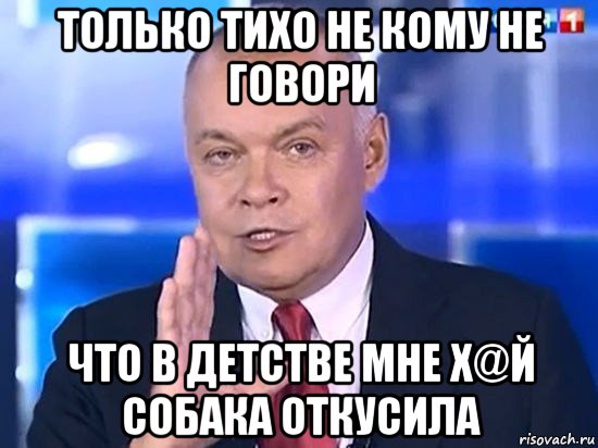 только тихо не кому не говори что в детстве мне х@й собака откусила, Мем Киселёв 2014