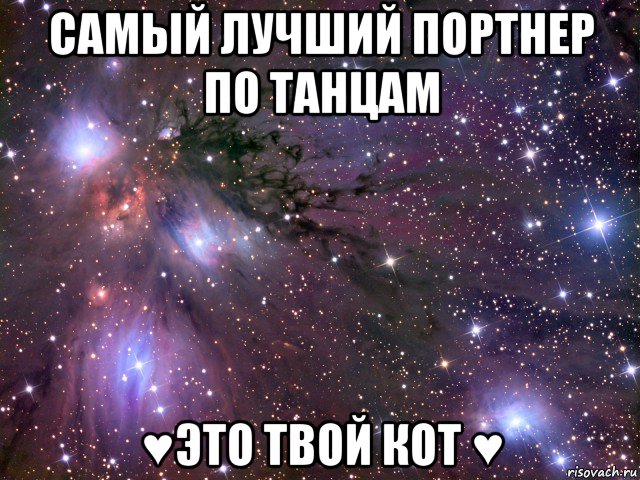 самый лучший портнер по танцам ♥это твой кот ♥, Мем Космос