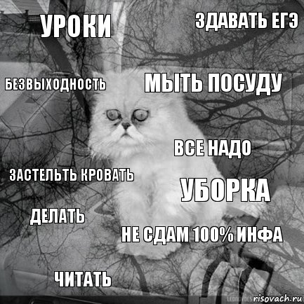 уроки уборка мыть посуду читать застельть кровать здавать егэ не сдам 100% инфа безвыходность делать все надо, Комикс  кот безысходность