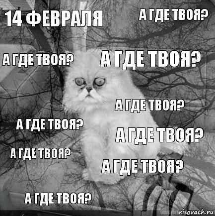 14 февраля а где твоя? а где твоя? а где твоя? а где твоя? а где твоя? а где твоя? а где твоя? а где твоя? а где твоя?, Комикс  кот безысходность