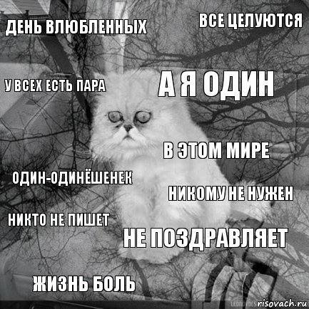 День влюбленных Никому не нужен А я один Жизнь боль Один-одинёшенек Все целуются Не поздравляет У всех есть пара Никто не пишет В этом мире, Комикс  кот безысходность