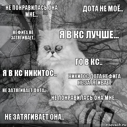 Не понравилась она мне... Никитос дота нефига не затягивает Я в кс лучше... Не затягивает она.. я в кс никитос.. дота не моё.. Не понравилась она мне... нефига не затягивает.. не затягивает дота.. го в кс.., Комикс  кот безысходность