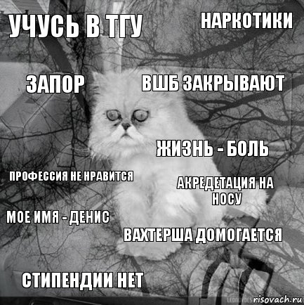 Учусь в ТГУ акредетация на носу ВШБ закрывают стипендии нет профессия не нравится наркотики вахтерша домогается запор мое имя - денис жизнь - боль, Комикс  кот безысходность