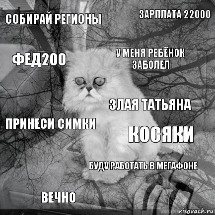 собирай регионы косяки у меня ребёнок заболел ВЕЧНО принеси симки зарплата 22000 буду работать в мегафоне ФЕД200  злая татьяна, Комикс  кот безысходность