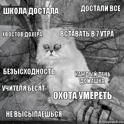 школа достала каждый день домашка вставать в 7 утра не высыпаешься безысходность достали все охота умереть хвостов дохера учителя бесят , Комикс  кот безысходность