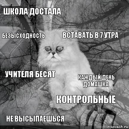 школа достала каждый день домашка вставать в 7 утра не высыпаешься учителя бесят  контрольные безысходность  , Комикс  кот безысходность