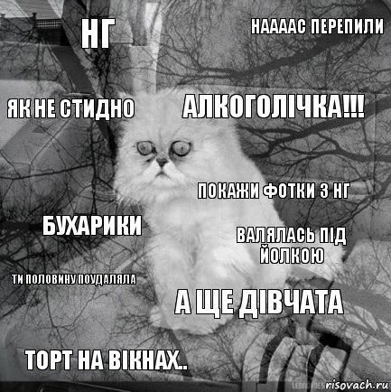 Нг Валялась під йолкою Алкоголічка!!! Торт на вікнах.. Бухарики Наааас перепили А ще дівчата Як не стидно Ти половину поудаляла Покажи фотки з нг, Комикс  кот безысходность