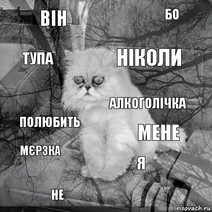 Він Мене Ніколи Не Полюбить Бо Я Тупа Мєрзка Алкоголічка, Комикс  кот безысходность