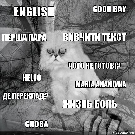 English Maria Ananivna вивчити текст слова Hello Good bay Жизнь боль перша пара де переклад? чого не готові?, Комикс  кот безысходность