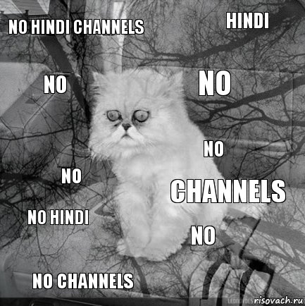 no hindi channels channels no no channels no hindi no no no hindi no, Комикс  кот безысходность