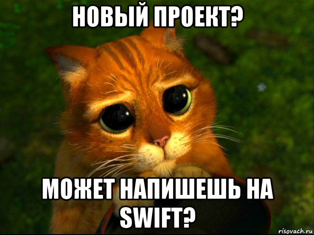 новый проект? может напишешь на swift?, Мем кот из шрека