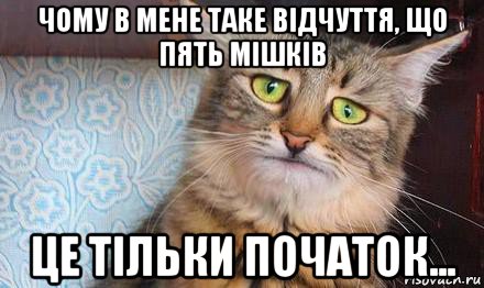 чому в мене таке відчуття, що пять мішків це тільки початок..., Мем  кот печаль