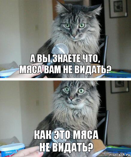 А вы знаете что,
Мяса вам не видать? Как это мяса
Не видать?, Комикс  кот с микрофоном