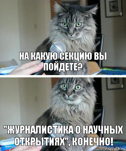 На какую секцию вы пойдете? "Журналистика о научных открытиях", конечно!, Комикс  кот с микрофоном