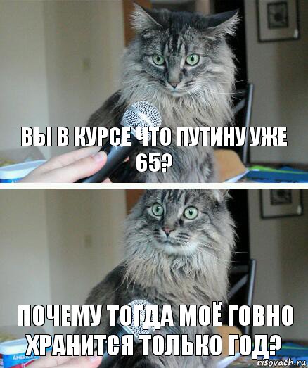 Вы в курсе что путину уже 65? почему тогда моё говно хранится только год?, Комикс  кот с микрофоном