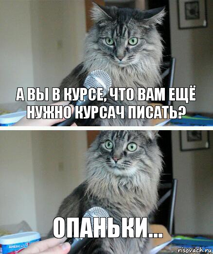 А вы в курсе, что вам ещё нужно курсач писать? Опаньки..., Комикс  кот с микрофоном