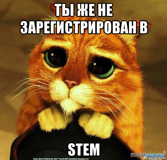 ты же не зарегистрирован в stem, Мем Котик из Шрека