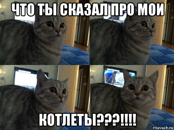 что ты сказал про мои котлеты???!!!!, Мем  Кот в шоке